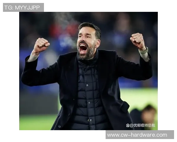 电讯报分析范尼下课原因莱斯特城董事会亟需解决内部管理问题 电讯报分析范尼下课原因莱斯特城董事会亟需解决内部管理问题